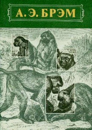 Брэм Альфред - Жизнь животных Том I Млекопитающие