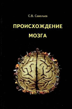 Савельев Сергей - Происхождение мозга