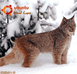 Неворотин Вадим - Руководство по переходу на Ubuntu 10.04 LTS «Lucid Lynx»