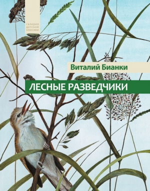 Бианки Виталий - Лесные разведчики (сборник)