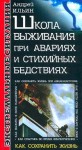 Андрей Ильин - Школа выживания при авариях и стихийных бедствиях