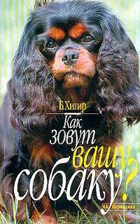 Хигир Борис - Как зовут вашу собаку