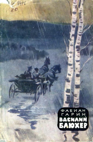 Гарин Фабиан - Василий Блюхер. Книга 1