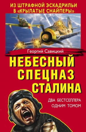 Савицкий Георгий - Небесный спецназ Сталина. Из штрафной эскадрильи в «крылатые снайперы» (сборник)