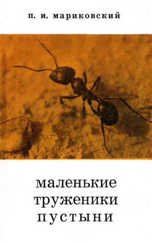 Мариковский Павел - Маленькие труженики пустыни