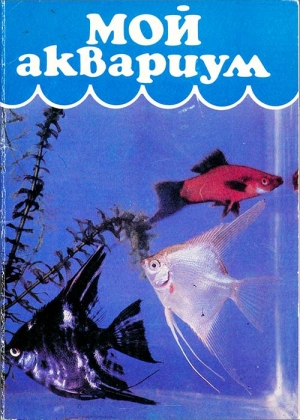 Алфимова Н. - Мой аквариум