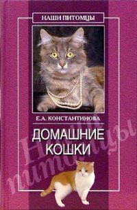 Константинова Екатерина - Домашние кошки