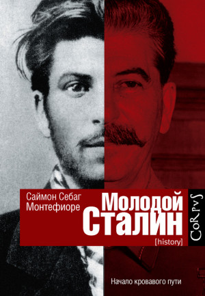Монтефиоре Саймон - Молодой Сталин
