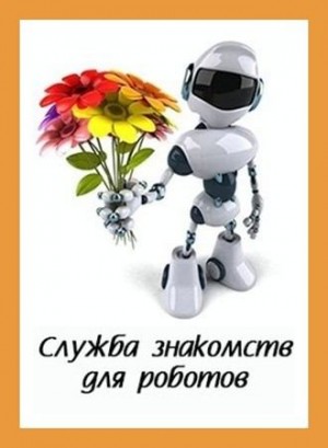 Куприянов Денис - Служба знакомств для роботов