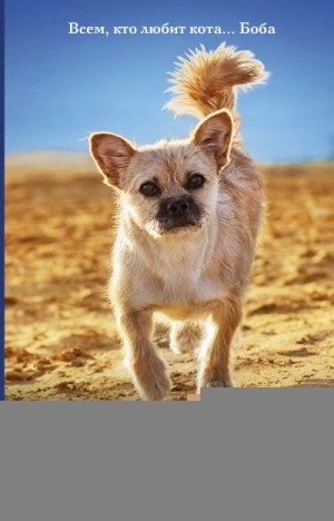 Леонард Дион, Борлас Крейг - Гоби – маленькая собака с очень большим сердцем
